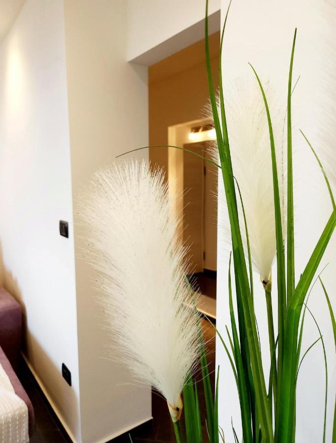 Luxury Apartment Aurora - Cod 0409 Abbazia Esterno foto