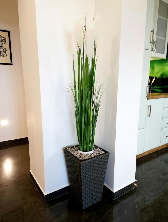 Luxury Apartment Aurora - Cod 0409 Abbazia Esterno foto